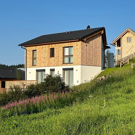 Berglisl - Direkt An Der Schipiste! Neue Ferienwohnung Mit Sauna Klippitztorl ภายนอก รูปภาพ