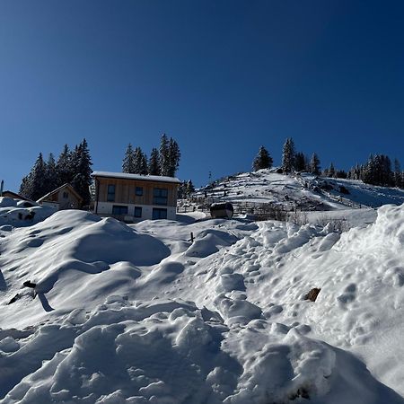 Berglisl - Direkt An Der Schipiste! Neue Ferienwohnung Mit Sauna Klippitztorl ภายนอก รูปภาพ